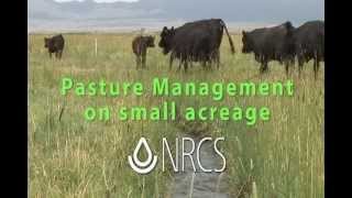 Small Pasture Management cc [upl. by Aihsercal]