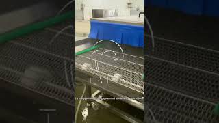 Crate Basket Cleaning Machine  Root Vegetable Celery Washing Machine [upl. by Fatima]