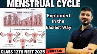 Menstrual Cycle Explained  Human Reproduction class 12  Part7  by Vivek Sir [upl. by Darahs]