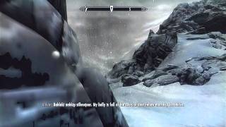 The Time Wound  Skyrim [upl. by Alon579]