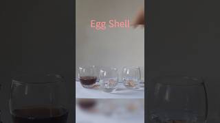 Egg shell vs Acid chemistry acid egg [upl. by Annatnom737]