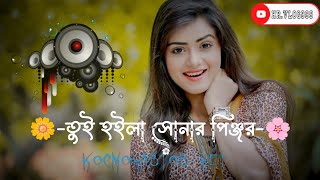 তুই হইলা সোনার পিঞ্জর ময়না পাখি আর।tui hoila sonar pinjor। Bain Duar Di No Aiso toi। lofi [upl. by Ellened209]