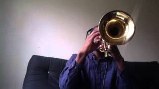 Madvillain  Curls Trumpet Cover [upl. by Allerym591]