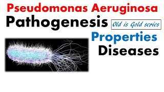 Pseudomonas aeruginosa microbiology  pathogenesis infection and treatment [upl. by Quennie]