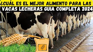 ¿Cuál es el mejor alimento para las vacas lecheras [upl. by Grenville60]