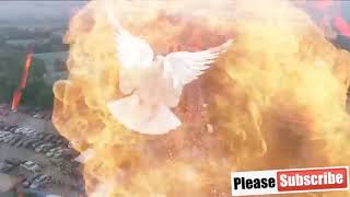 Bishop David Oyedepo tongues of fire with Holy Spirit Reign by Minister Maro [upl. by Naid858]