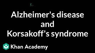 Alzheimers disease and Korsakoffs syndrome  Processing the Environment  MCAT  Khan Academy [upl. by Sudbury]