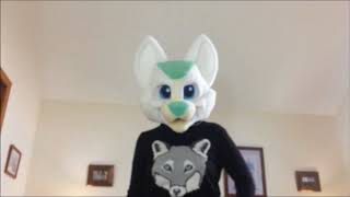 Arctic Fox Fursuit Head Progress 12 [upl. by Claudius585]