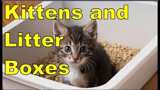 Kitten Litter Box Training Made Simple Fun Effective Techniques for Success [upl. by Dhaf548]