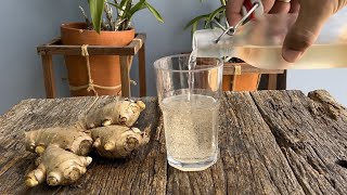 Ginger Beer Homemade  How to Make Ginger Beer easy recipe gluten free [upl. by Eniledgam]