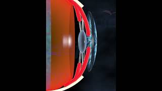 Human Eye Lens and Accommodation [upl. by Jael]