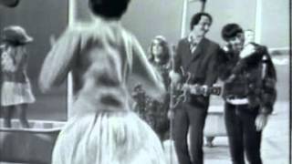 Mamas And The Papas California Dreamin Live 1966 [upl. by Nedry]