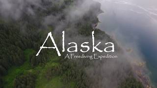 SPEARFISHING ALASKA 2017 [upl. by Nodyroc129]