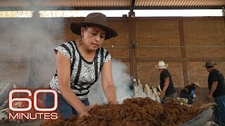 Mezcal producers preserve traditional methods as demand for liquor grows  60 Minutes [upl. by Joseph]