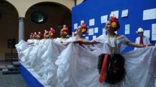 Ballet Folklorico quotPor amor al Artequot Veracruz [upl. by Itisahc]