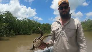 EP1 Mud Crabbing Mackay [upl. by Adnaw]