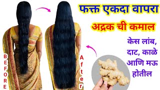 केस गळती केस पांढरे होणे व इतर केसांसंबंधी सर्व समस्या दूर होतील 😱 kitchen tips  marathi kitchen [upl. by Sivia]