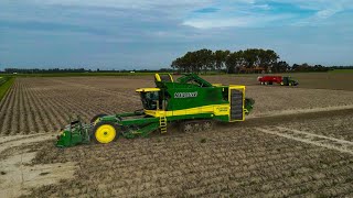 Aardappels rooien  harvesting potatoes  Ploeger AR4BX  Jacobs Agri [upl. by Robins]