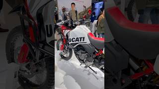 2025 Ducati DesertX Rally bike on display at EICMA 2024 👀 ducati desertx rallyraid rallybike [upl. by Barrett]