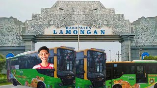 CUMA 5000 BISA NAIK BIS TRANS JATIM GRESIK  LAMONGAN KE MAKAM SUNAN DRAJAT [upl. by Luapnaej]