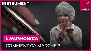 Lharmonica comment ça marche  avec Rachelle Plas  Culture prime [upl. by Ahtibat]