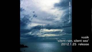 『silent rain silent sea』／ vusik [upl. by Ahsilahs800]