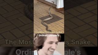 Which is the most venomous or poisonous water snake 🐍  ytshorts shorts viralshorts science [upl. by Malony]