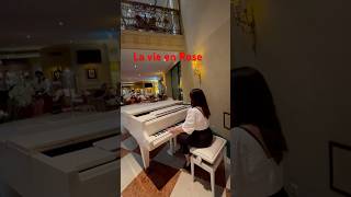 La vie en Rose Edith Piaf Piano Cover live piano event eventsplaylist pianist vienna austria [upl. by Ledarf]