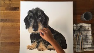 DACHSHUND PAINTING  Dog acrylic portrait [upl. by Enwahs978]