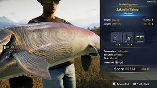 Sakhalin Taimen  Diamond  6122kg  134967 Lb  The Angler [upl. by Jeaz]