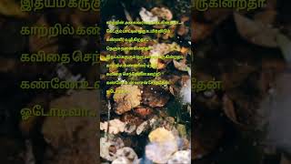 katrien alai varisai tamil song [upl. by Xever]