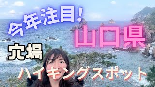 青海島自然研究路 海上アルプスは想像以上に美しく面白い！【 山口 観光 】 [upl. by Jaclin]