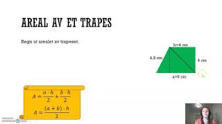 Omkrets og areal Trapes [upl. by Atiluj]