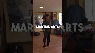 Do Capoeira Kicks Work in MMA [upl. by Bully450]