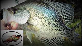 Fly Tying  Slab Crappie Silky Minnow [upl. by Tnahsarp]