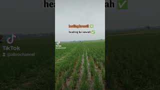 Healing ke Mall❎Healing ke Sawah✅ [upl. by Ainavi]