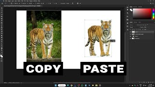 How To Copy And Paste Part Of An Image In Photoshop  1 MINUTE [upl. by Nylidnarb]