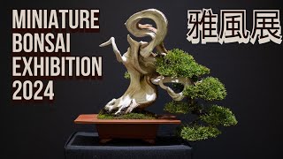 Gafuten Miniature Shohin Bonsai Exhibition 2024 Kyoto Japan  雅風展 2024 [upl. by Mackoff181]