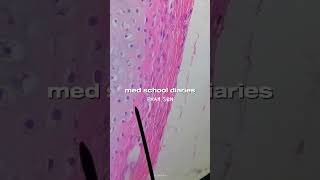 mini med school vlog shorts studymotivation medstudentvlog studyvlog [upl. by Anawk]