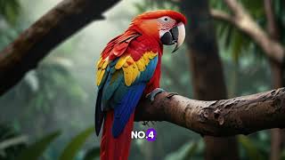 Top 10 Best Birds 2024 You Must See  Best Birds  Rare  Bird Watching [upl. by Eimaraj]