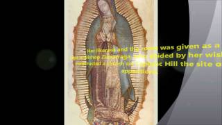 7 Church Approved Apparitions of the Blessed Virgin Mary [upl. by Arriec]