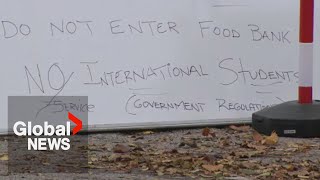 Brampton food bank faces backlash over quotNO International Studentsquot sign [upl. by Edora]