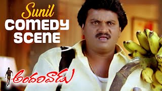 Andarivaadu Movie Comedy Scenes  Sunil Entry Comedy Scene  Chiranjeevi Prakash Raj Rimi Sen [upl. by Reitman236]