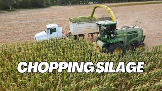 Chopping Silage 2024  WE GOT A NEW CHOPPER [upl. by Desirae387]