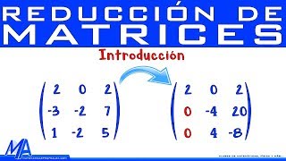 Reducción de matrices  Introducción  Gauss y Gauss Jordan [upl. by Lebbie239]