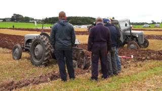 Wee Grey Fergie 4 FarmersFriends of Ferguson working day 2015 [upl. by Noskcaj]