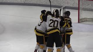 20231223 Alpena Wildcats vs TC Central Hockey Trojans [upl. by Enyar88]