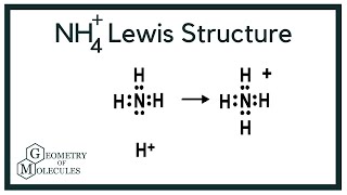 NH4 Lewis Structure Ammonium Ion [upl. by Thorlie376]