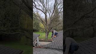 Are gutter guards worth it guttercleaning [upl. by Fanchet]