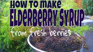 How To Make Elderberry Syrup From FRESH Berries [upl. by Kirbee362]